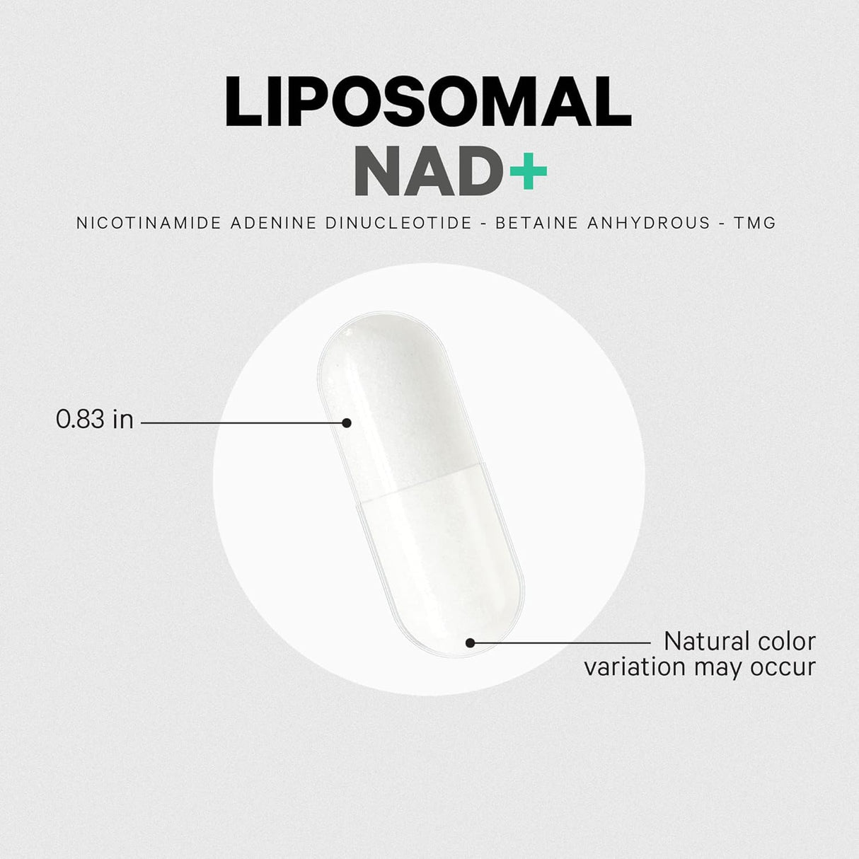 Suplemento de Energía metabolismo y apoyo al envejecimiento