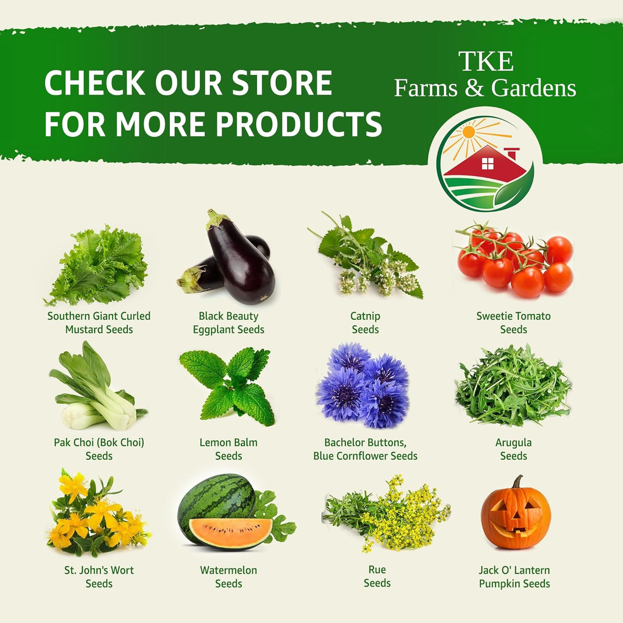 Semillas de Purslane - TKE Farms, 2000+ Semillas No GMO