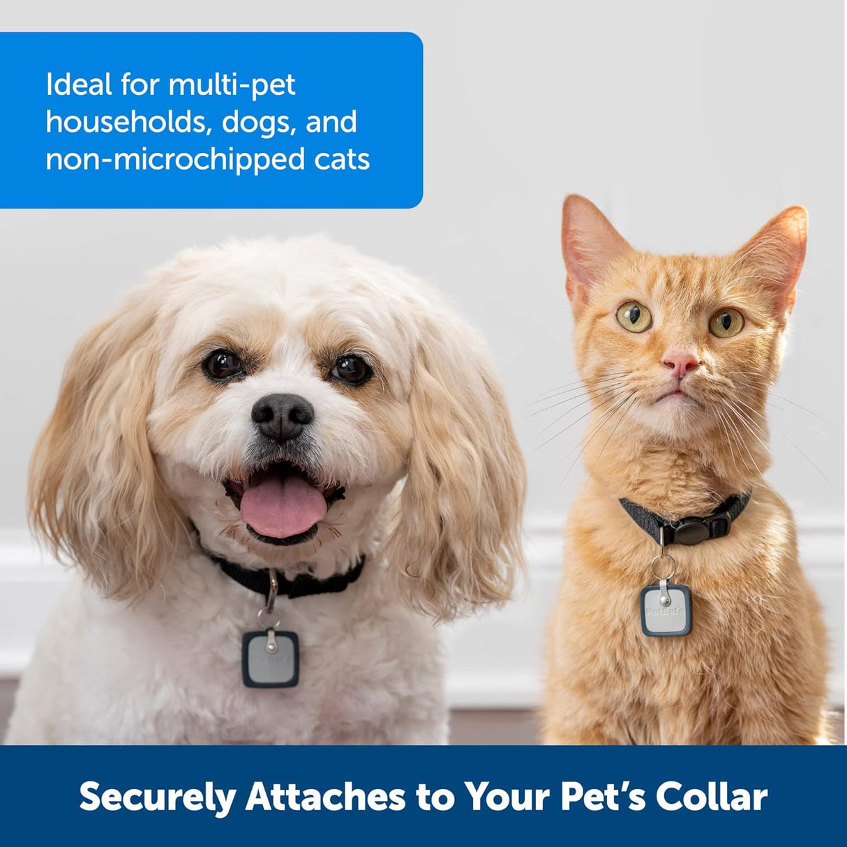 Llave de puerta para mascotas conectada para gatos en collar