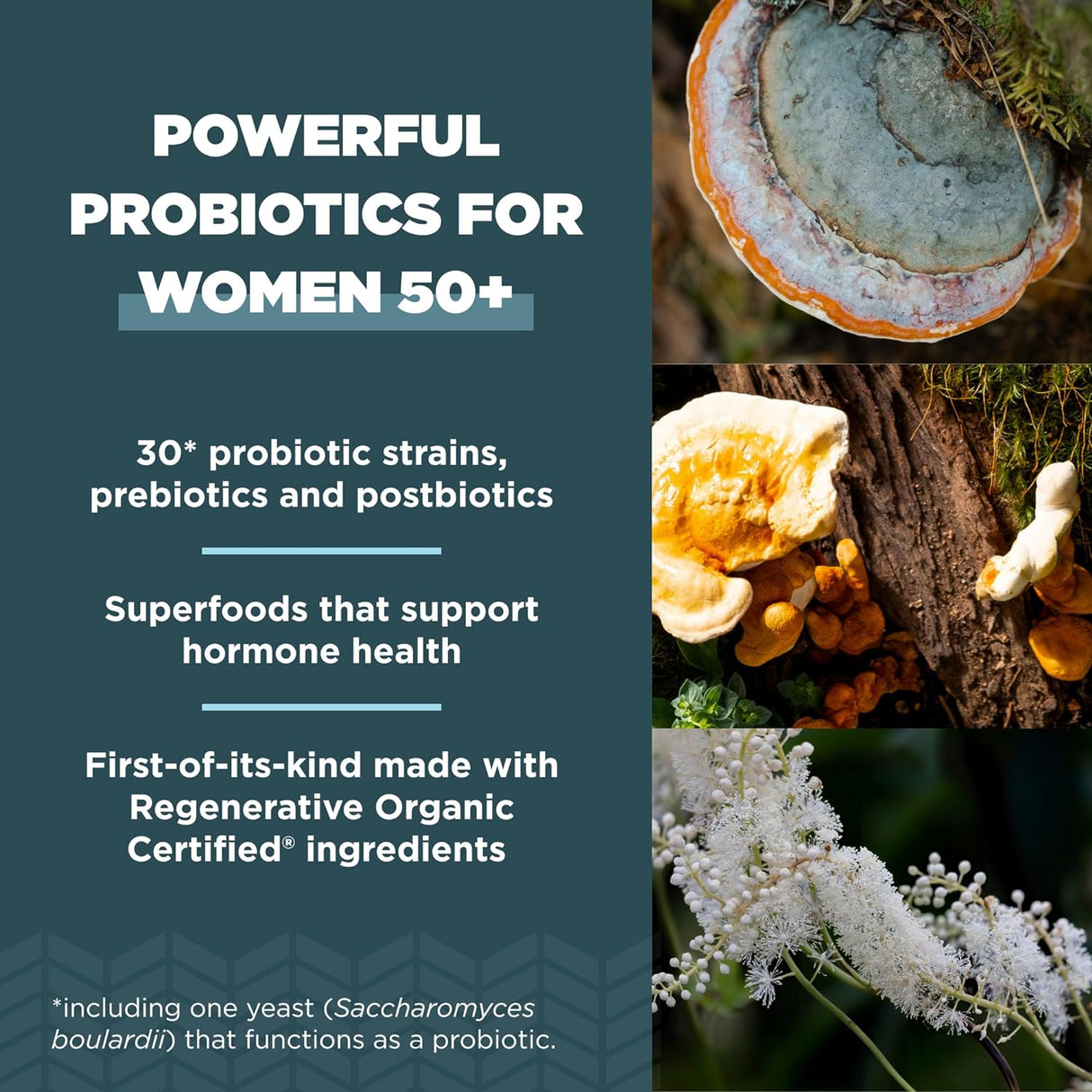 Probióticos regenerativos orgánicos para mujeres +50 años