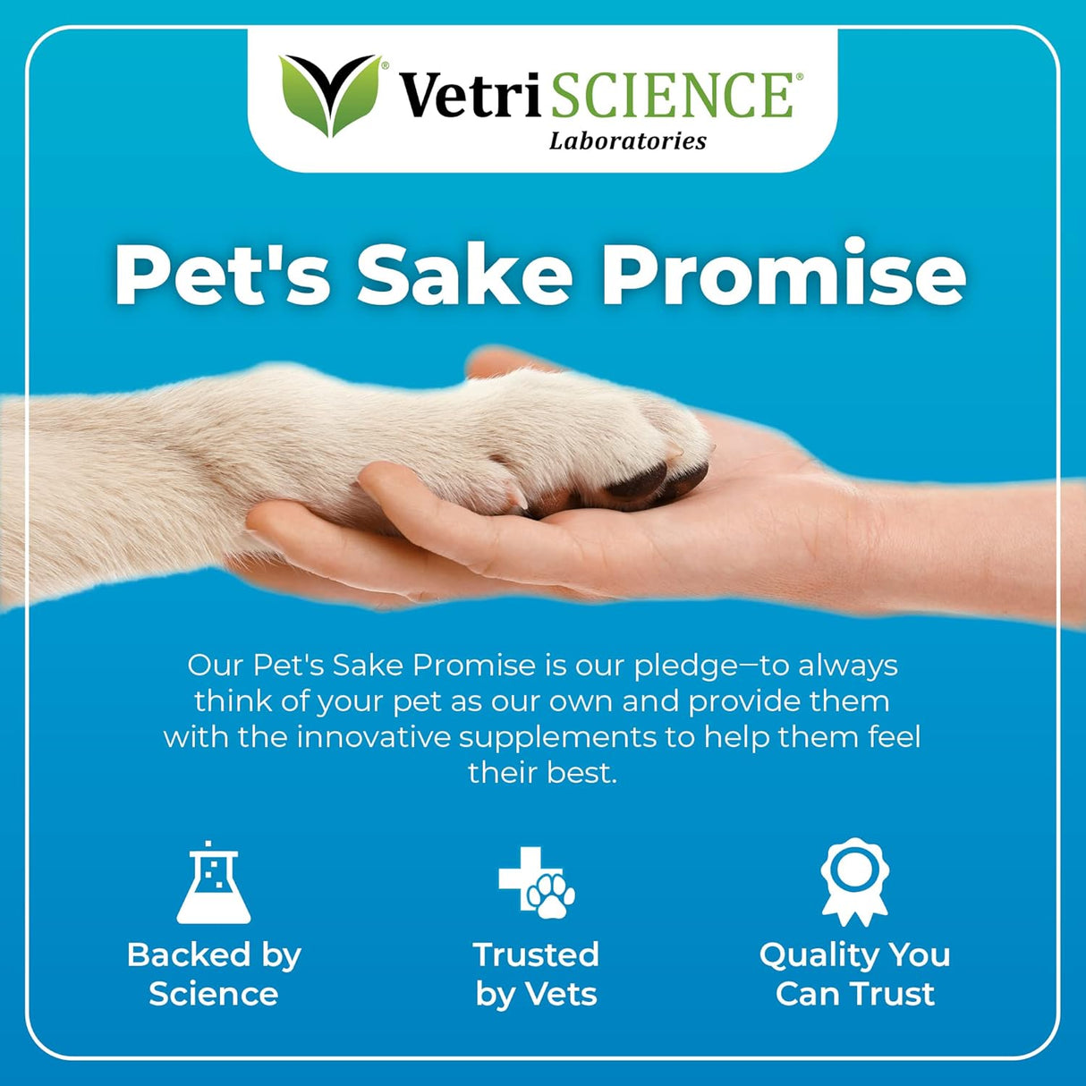 Solucion masticables VETRISCIENCE para gatos sabor pollo