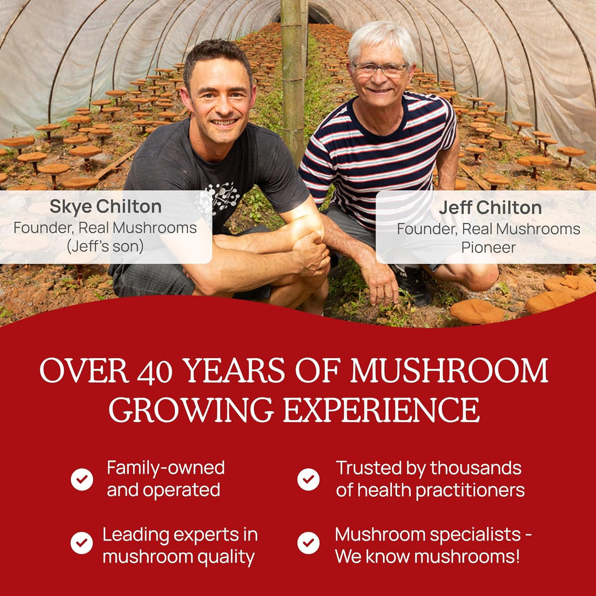 Cápsulas de Polvo de Hongos con Extracto de Ashwagandha KSM-66