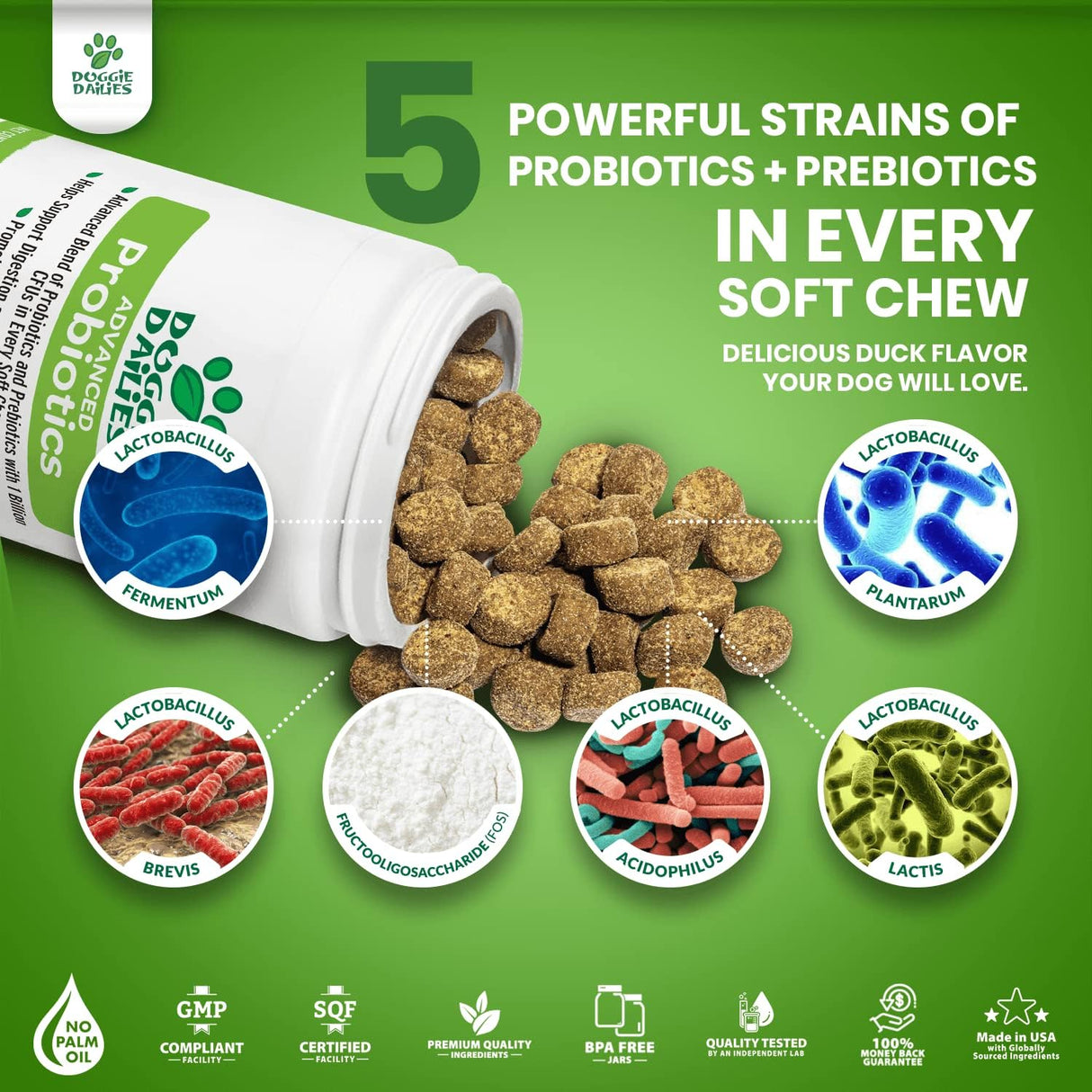 Vitaminas Probióticos para perros promueve la salud