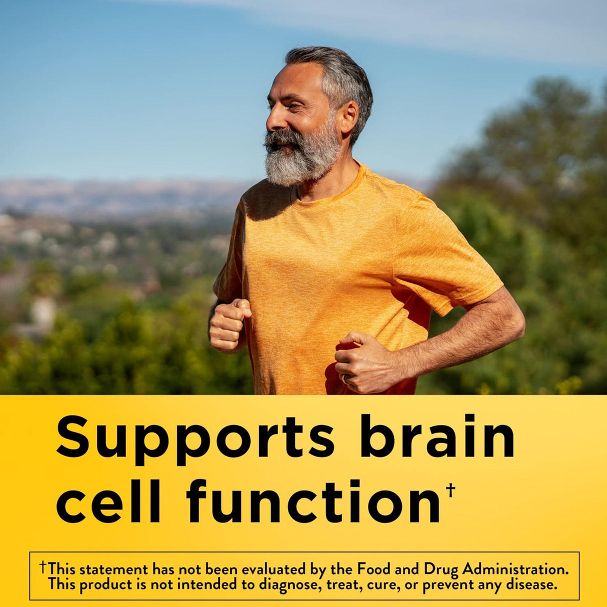 Suplementos Alimenticios dietético para soporte cerebrales