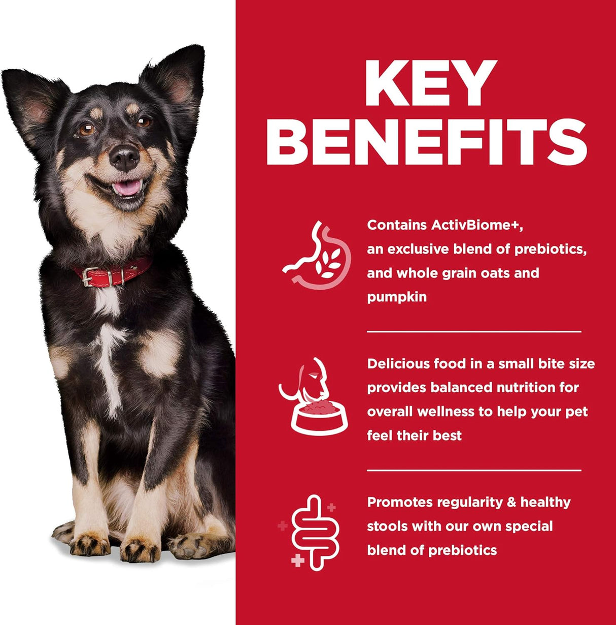 Alimento para Perros adultos seco receta de pollo