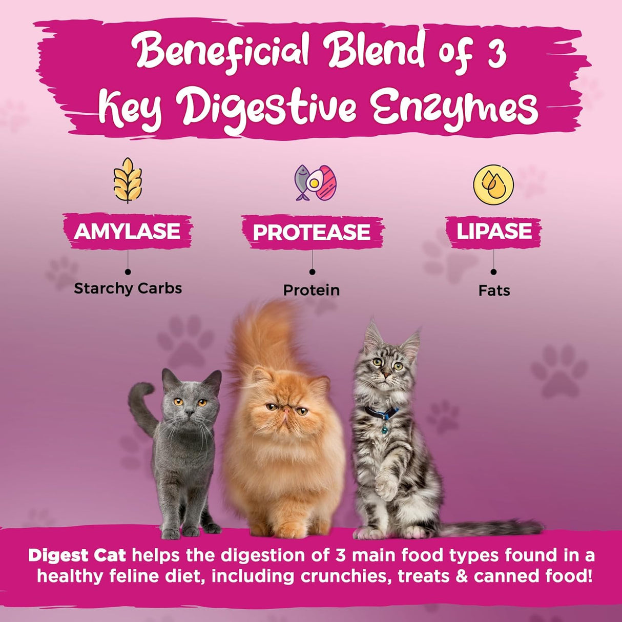 Enzimas Digestivas para Gatos Vital Planet con Calabaza y Jengibre