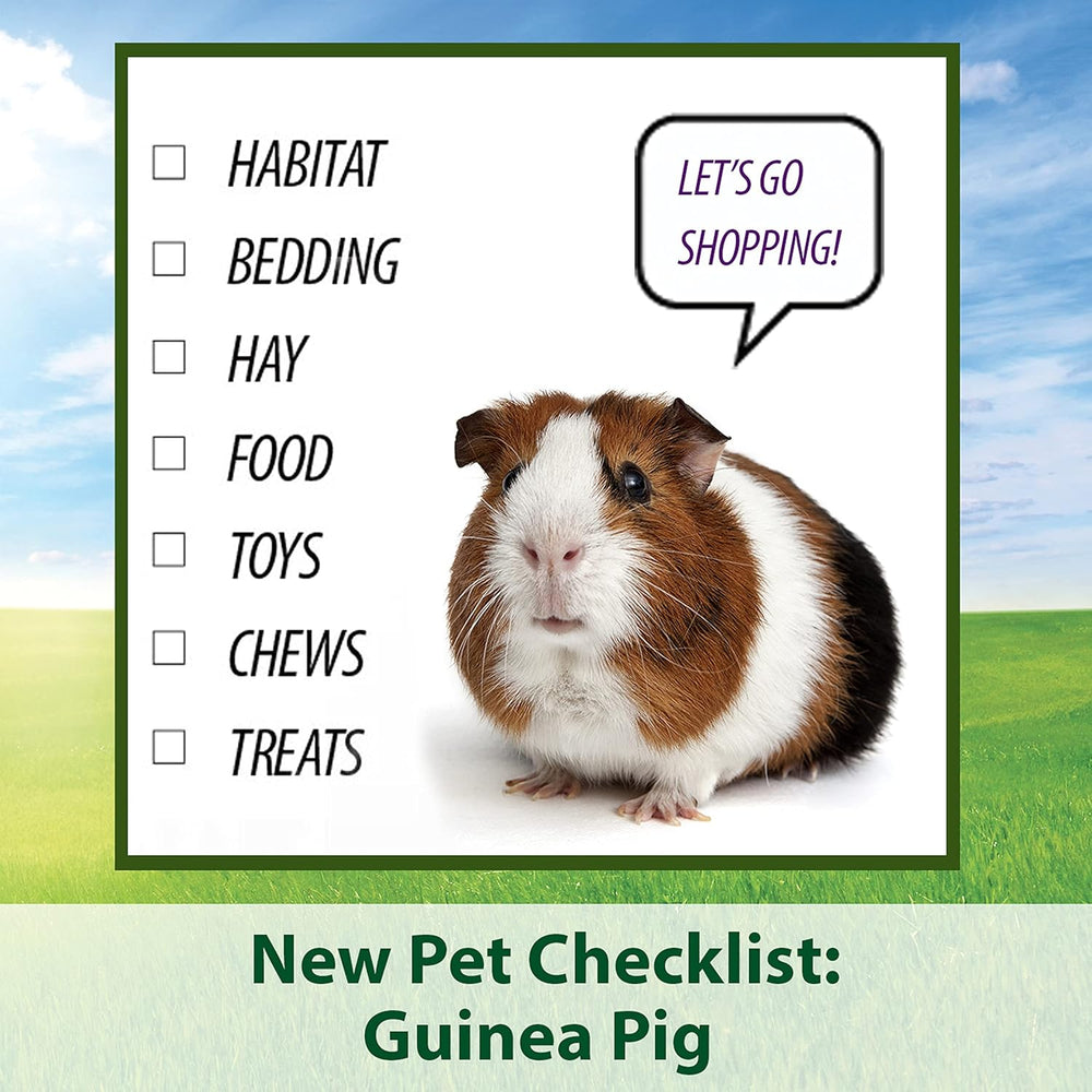 Heno Timothy Plus de Kaytee, con zanahoria, 48 onzas, estándar