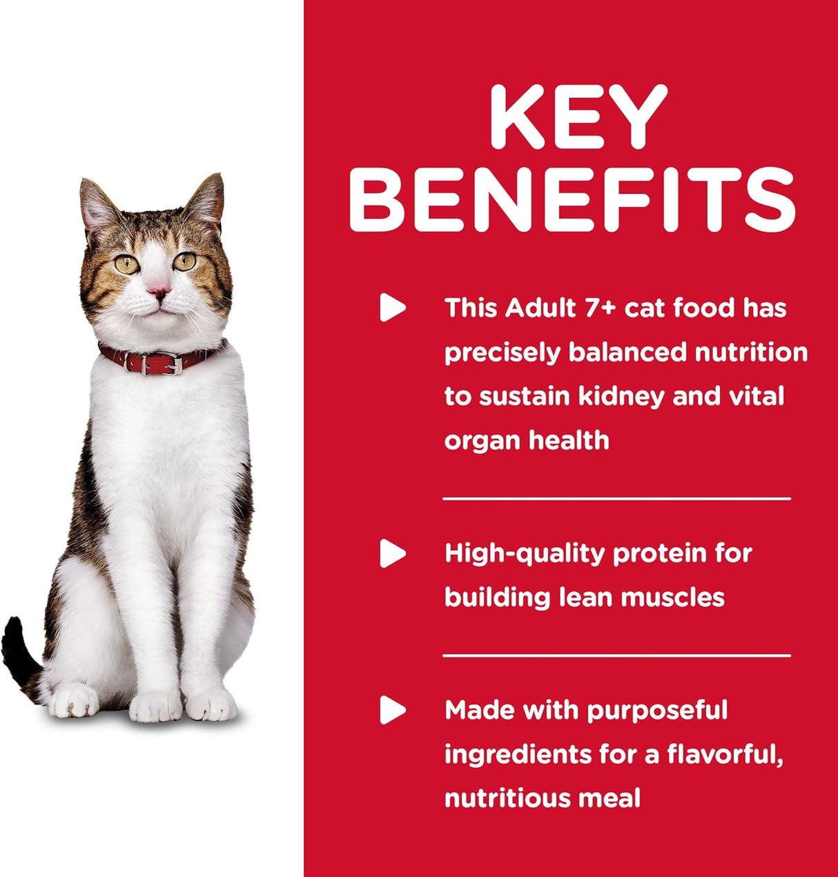 Alimento Cena de atún tierna para gatos latas paquete de 24