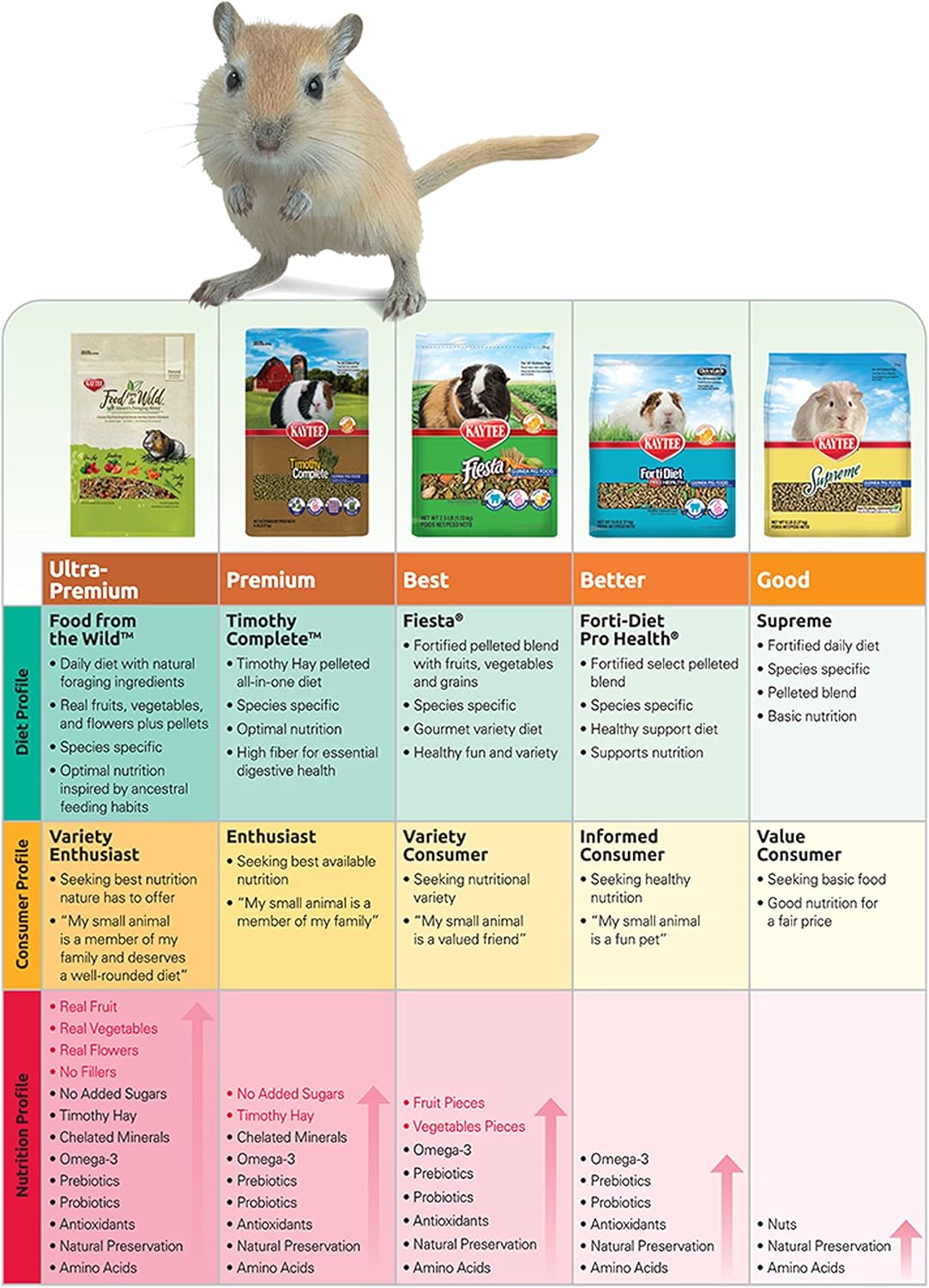 Kaytee Timothy Comida completa para conejos 4.5 lb