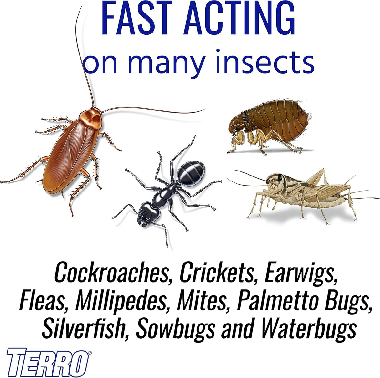 Ant Killer Multiusos TERRO T901-6 - 3lb, Mata Insectos