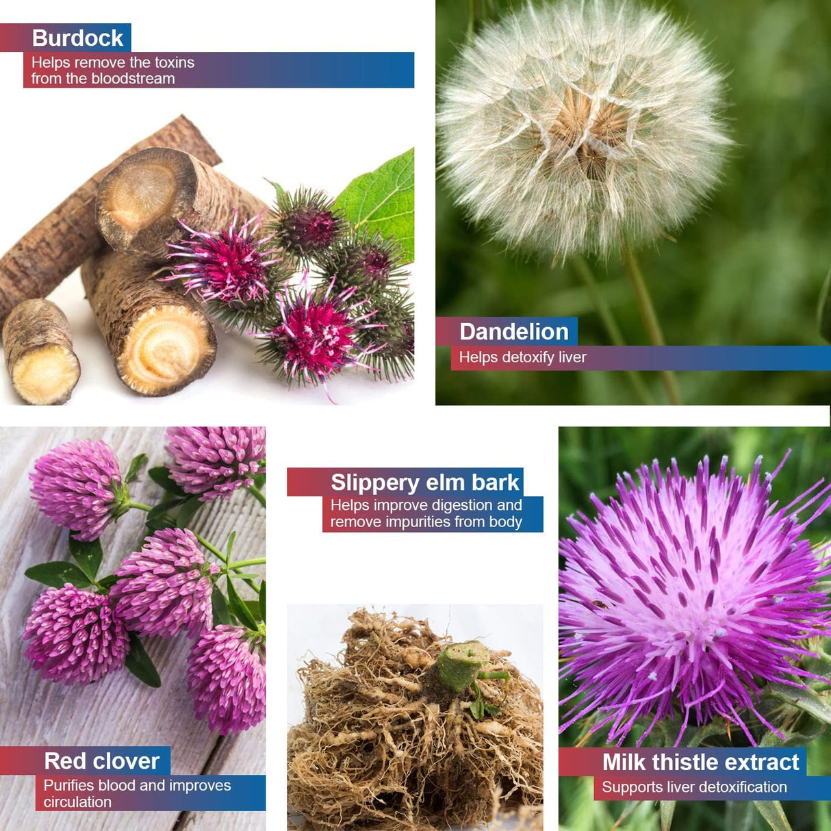 Suplementos Elimina toxinas no deseadas Desintoxicante