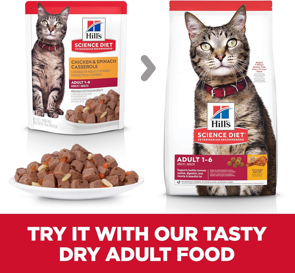 Alimento húmedo para gatos adultos pollo y espinacas