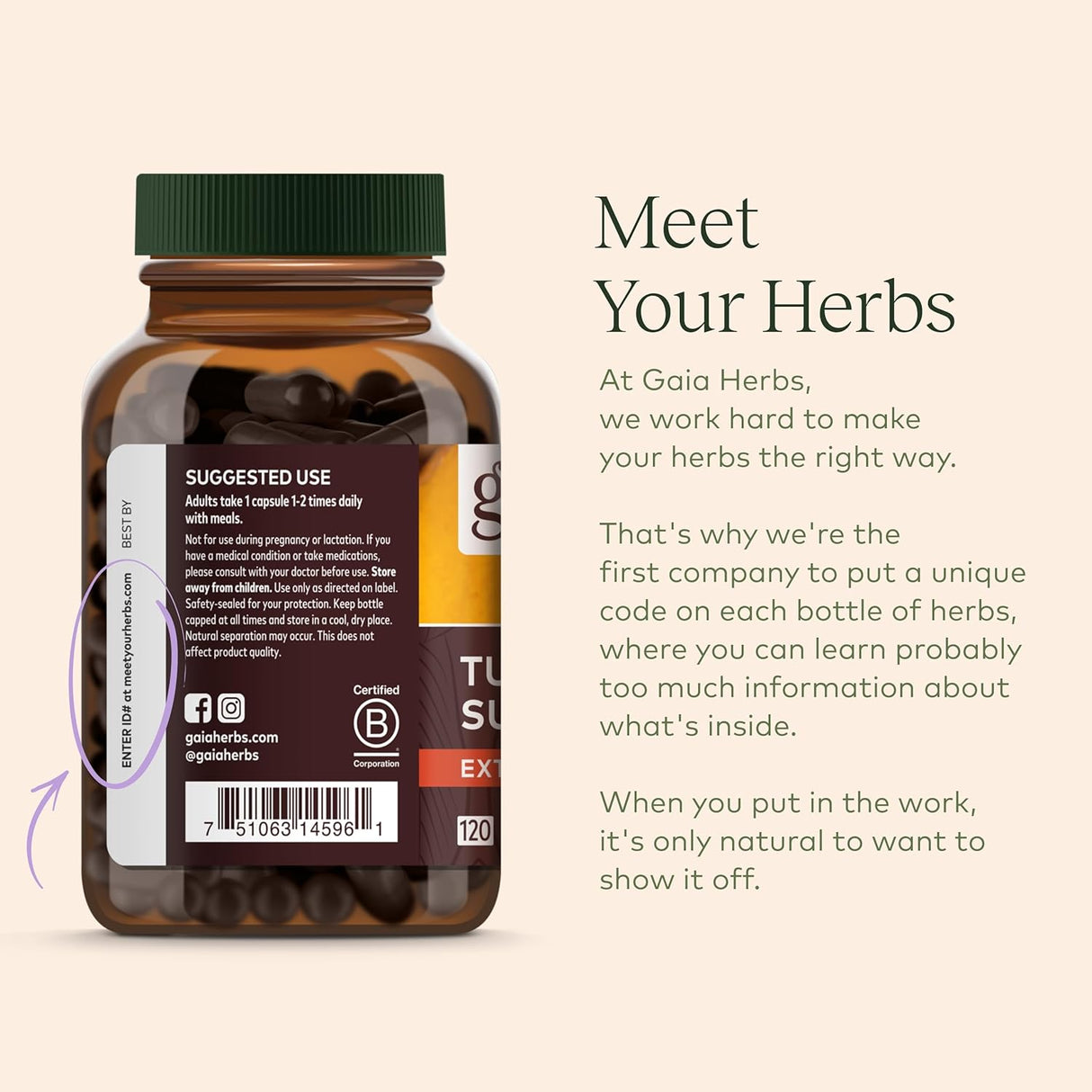 Gaia Herbs hígado Salud Líquido Phyto Cápsulas 60 cápsulas