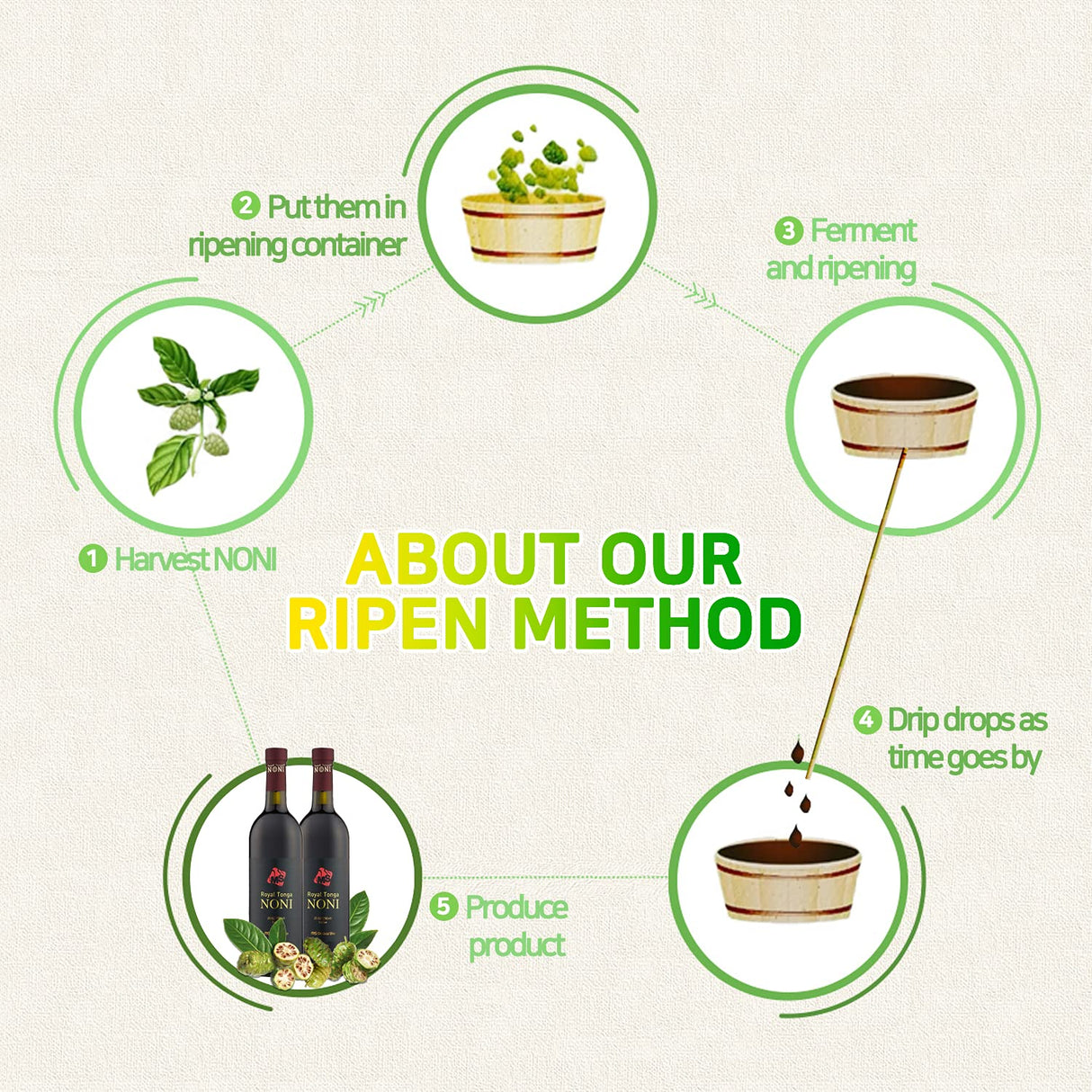 Royal Tonga Noni - Jugo NONI 100% auténtico (caja de 2 unidades), botellas de 25 onzas, jugo de noni, jugo de nonie, bebida de noni, jugo de noni, jugo de noni, jugo de noni, fruta de noni, real noni