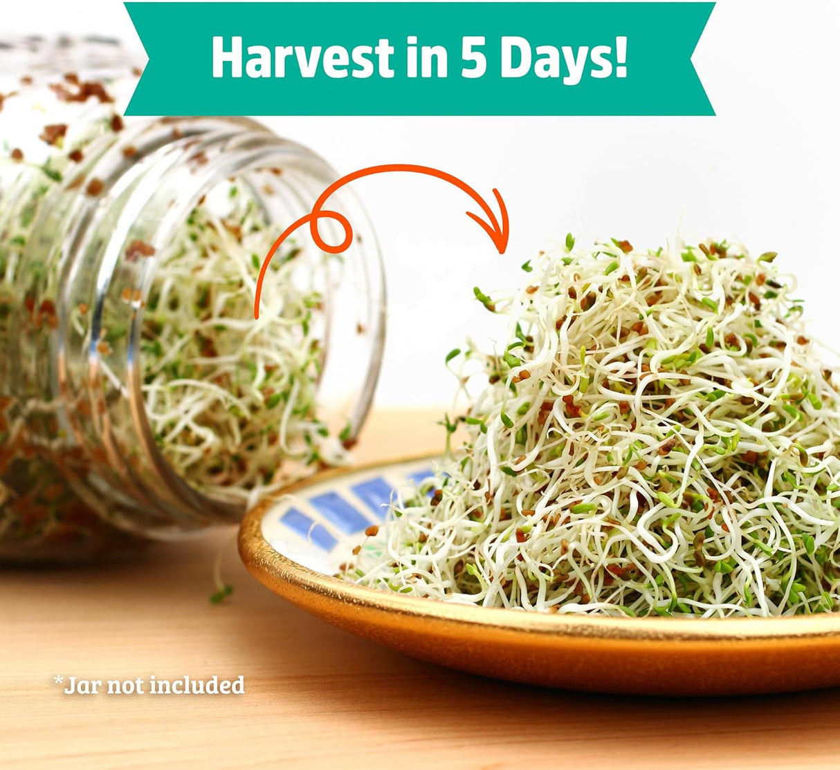 Semillas de Alfalfa 100% Orgánicas Back to the Roots 1 Libra