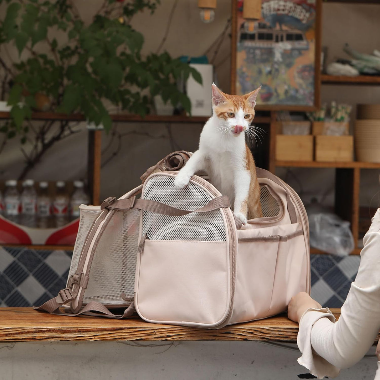 Transportadora Expandible para Gatos FUKUMARU, Aprobada Aerolíneas