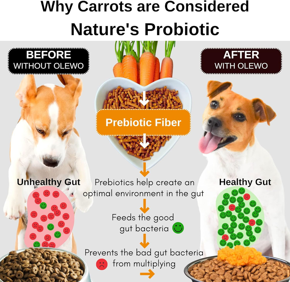 Vitaminas Deshidratado de zanahorias de perro