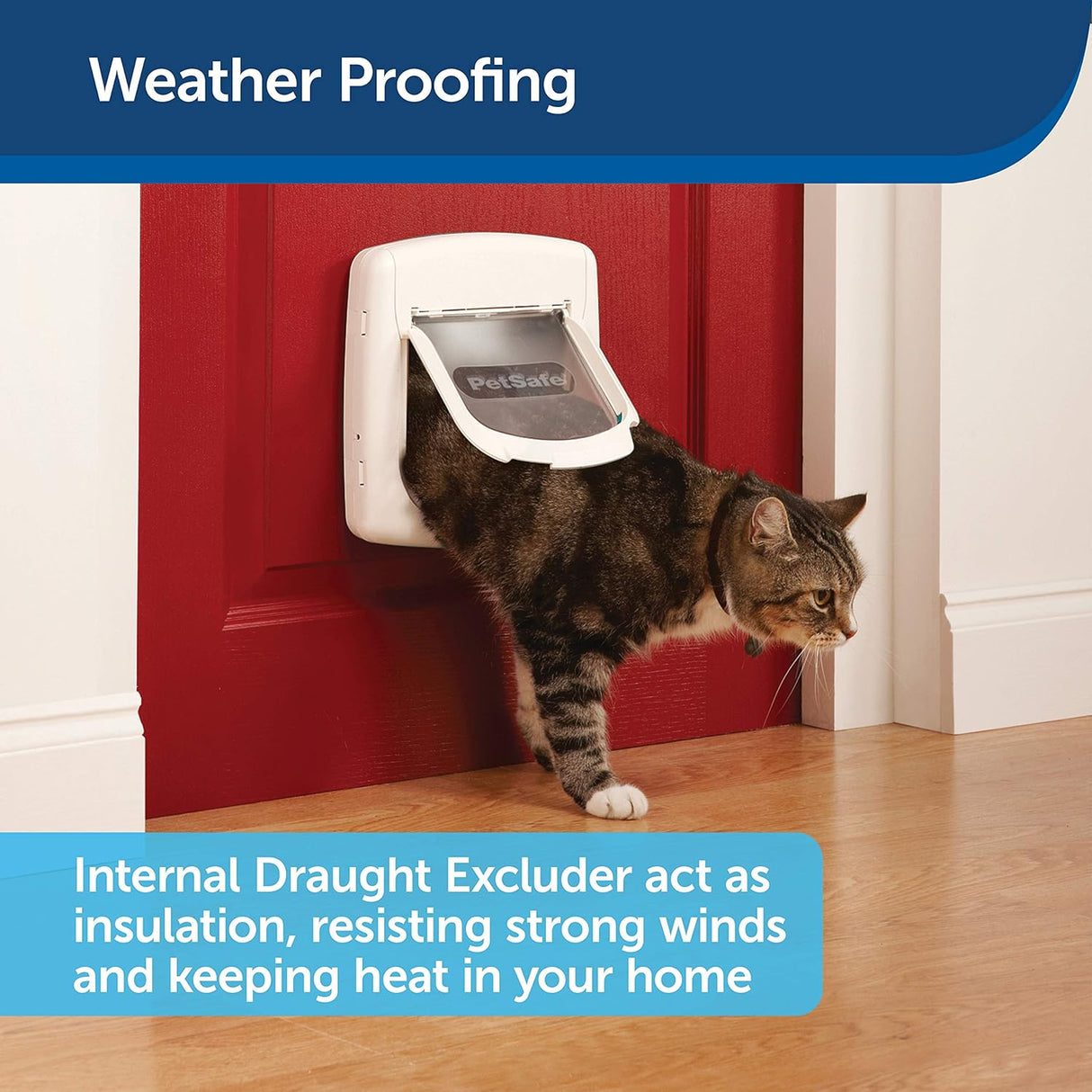 Solapa magnética de lujo para gatos entrada selectiva