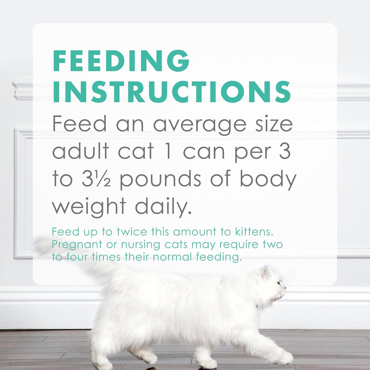 Paquete variado de alimentos húmedos para gatos sin granos