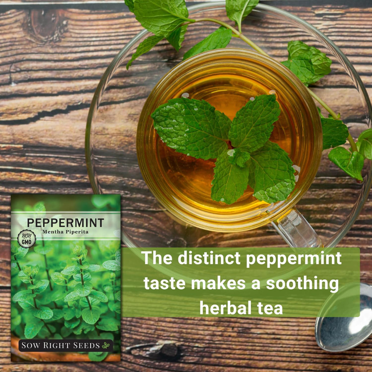 Semillas de Menta - Sow Right Seeds - No-GMO y Herencia - 1 paquete