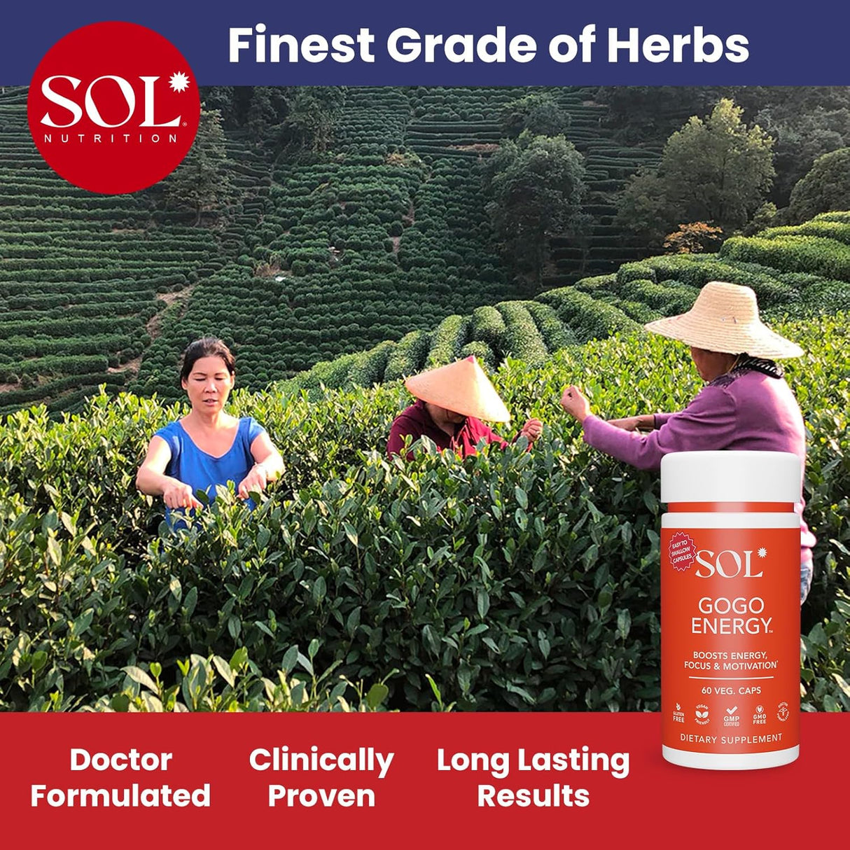 Suplemento energético del complejo de Ashwagandha vitaminaB