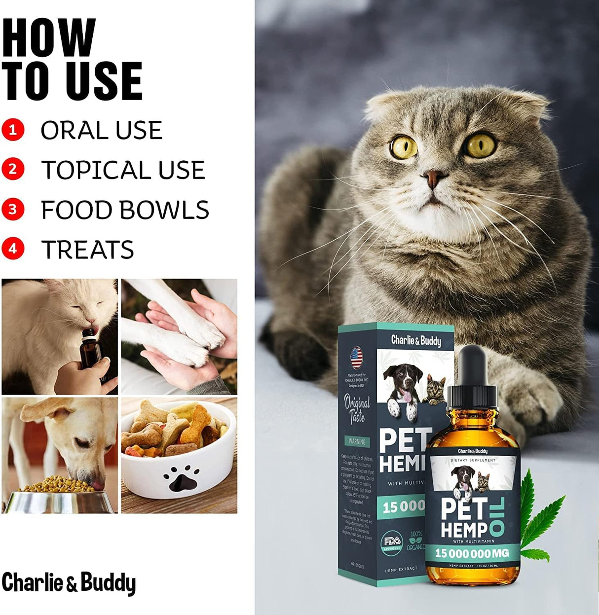 Vitaminas Ayuda a las mascotas con la ansiedad