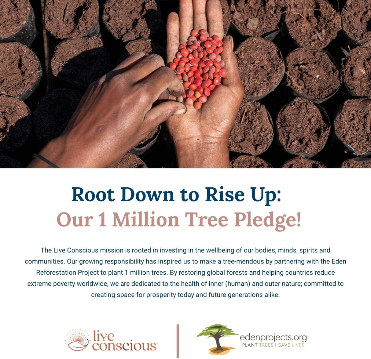 Suplemento Live Conscious KrillWell apoyo cognitivo 90 und