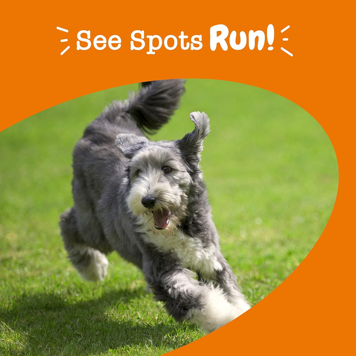 Vitaminas de hierba suave masticable para manchas de césped