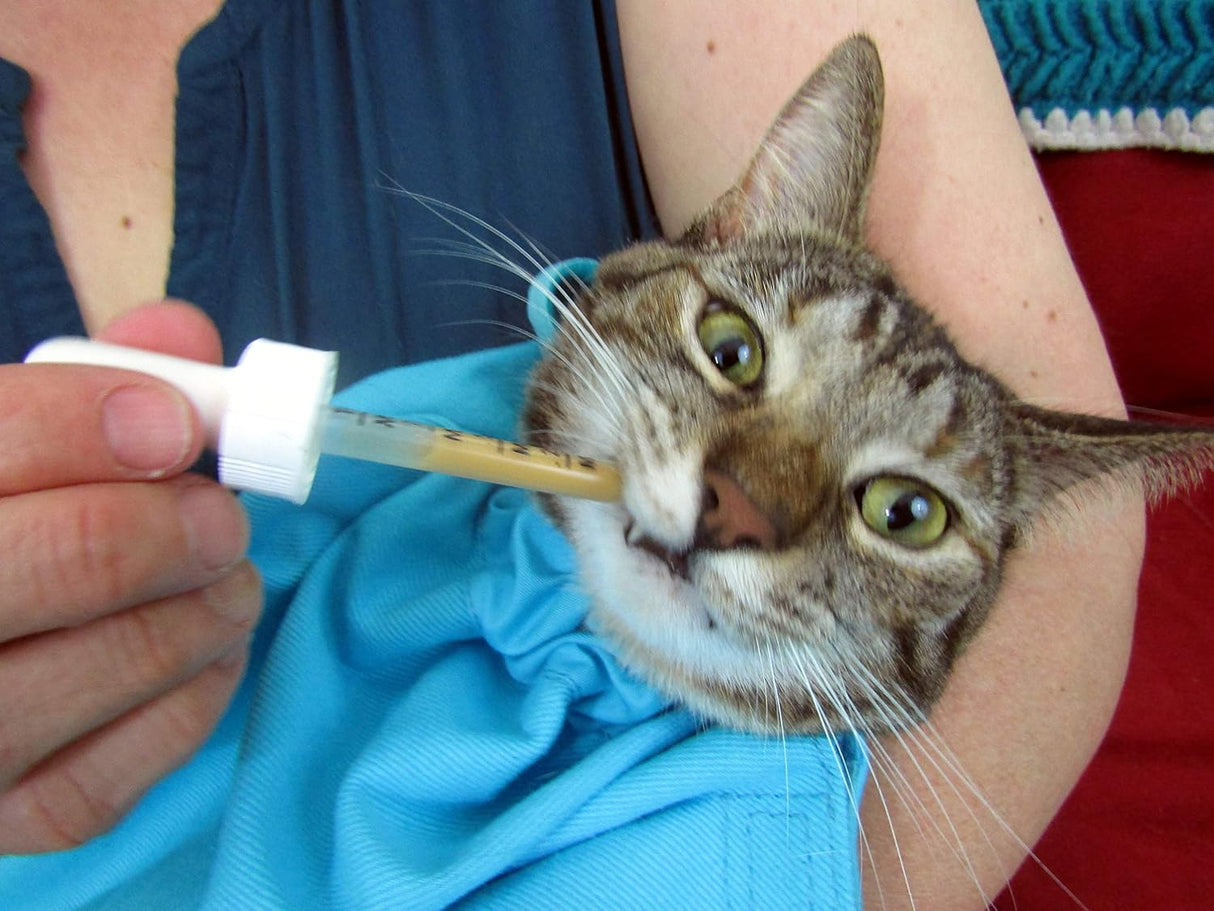 Transportador Cómodo Grande, Cozy Comfort, para Gatos, Modelo X.