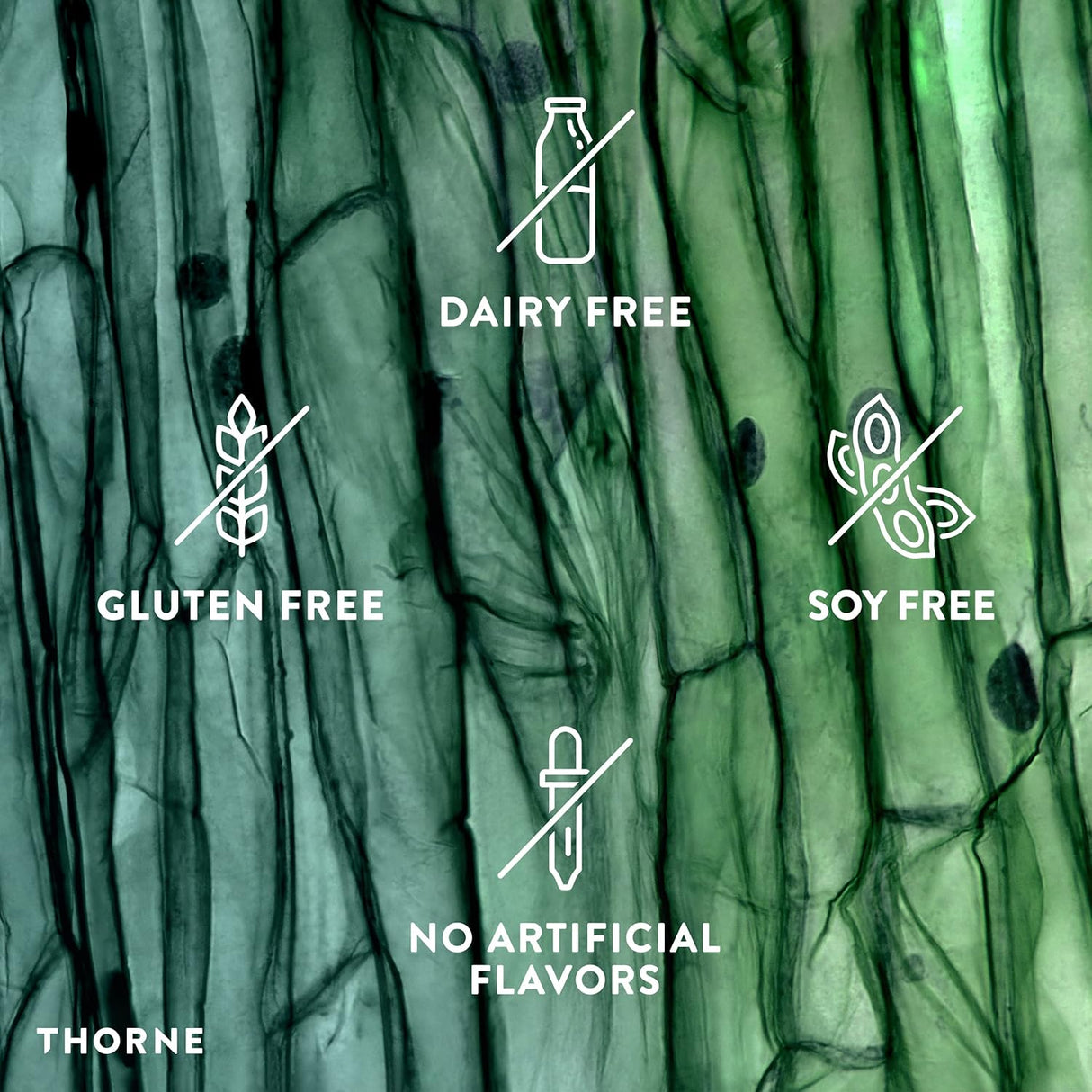 Suplementos 90 cápsulas CystePlus 1 1