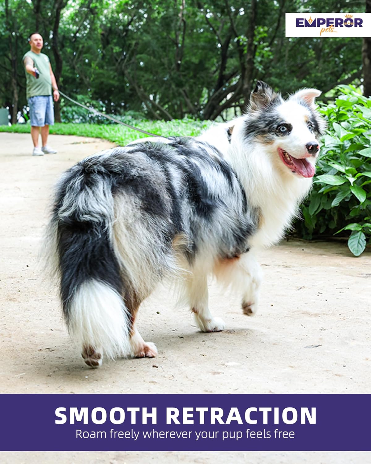 Correa Retráctil para Perros Grandes y Medianos 16 Pies GN16