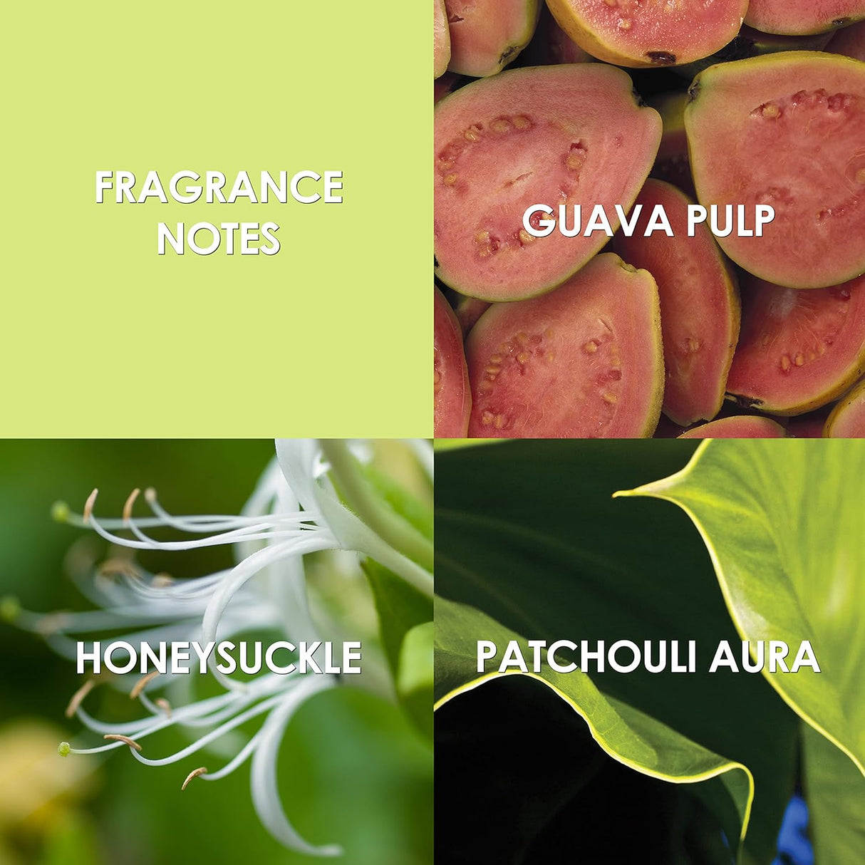 Perfume para Mujer, Eau De Parfum EDP Spray, Believe