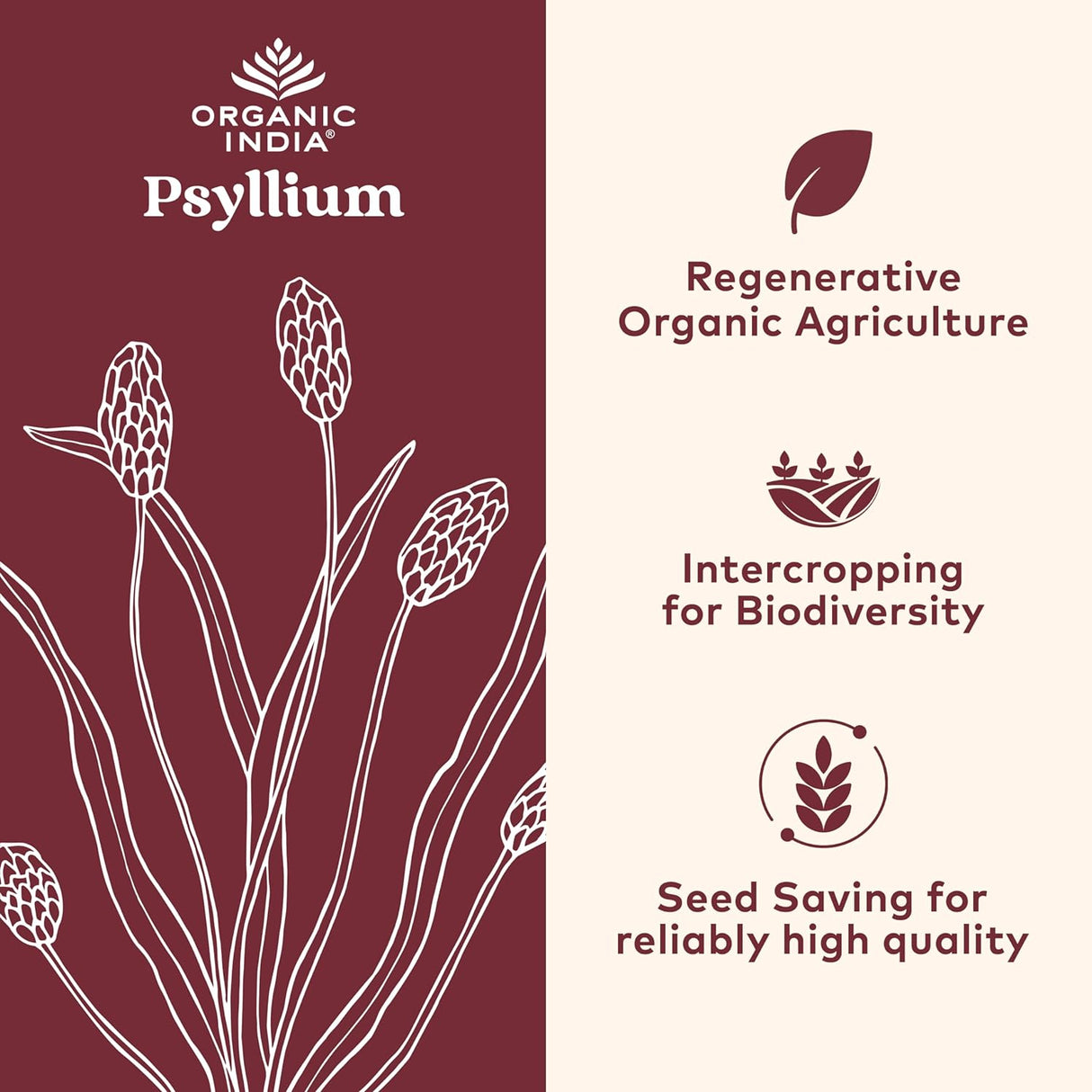 Polvo de Psyllium Orgánico - Fibra de Cáscara Entera, Vegano