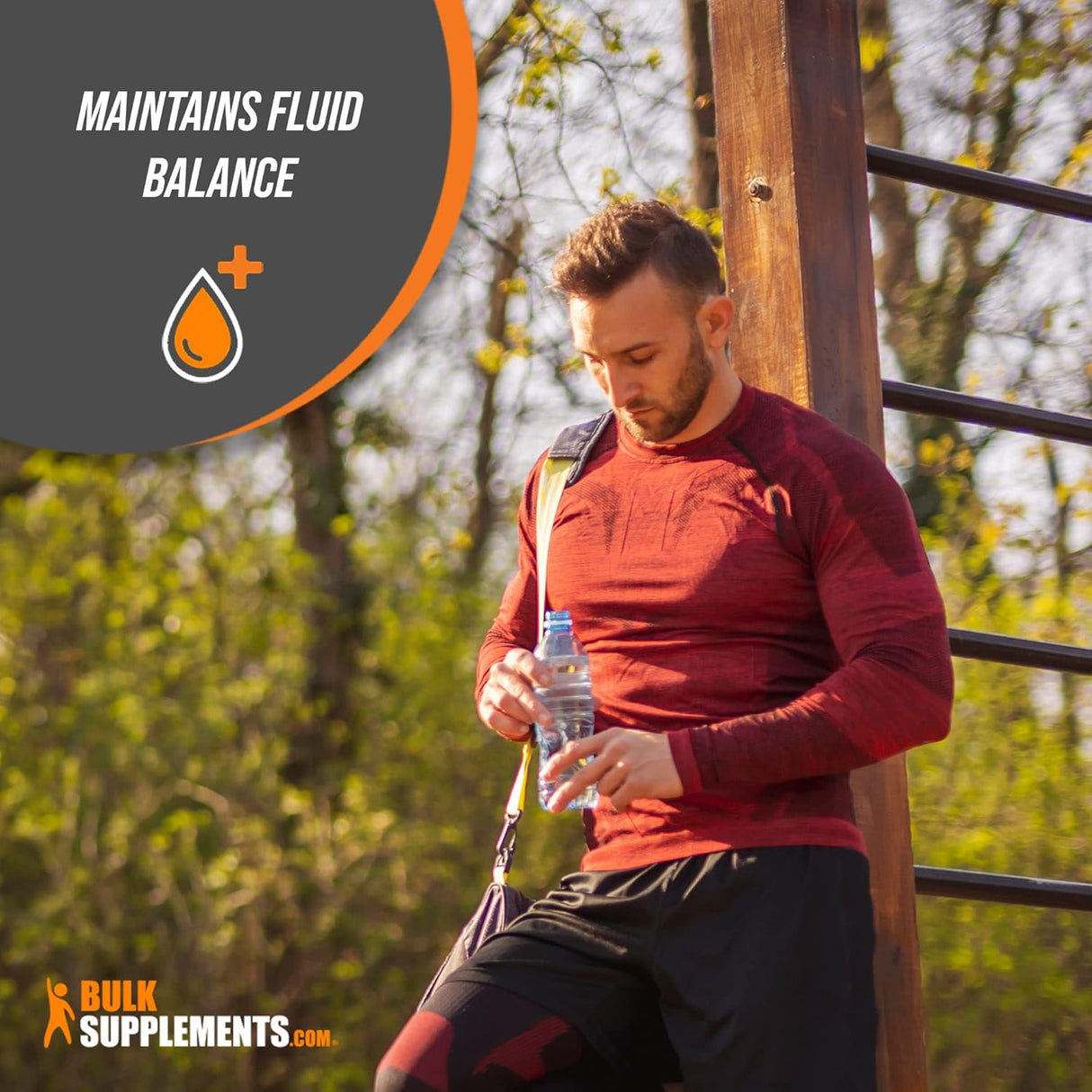 Suplementos Alimenticios de Citrato de potasio en polvo