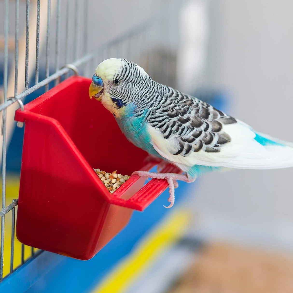 Wild Harvest Mezcla para aves pequeñas, bolsa de 10 libras