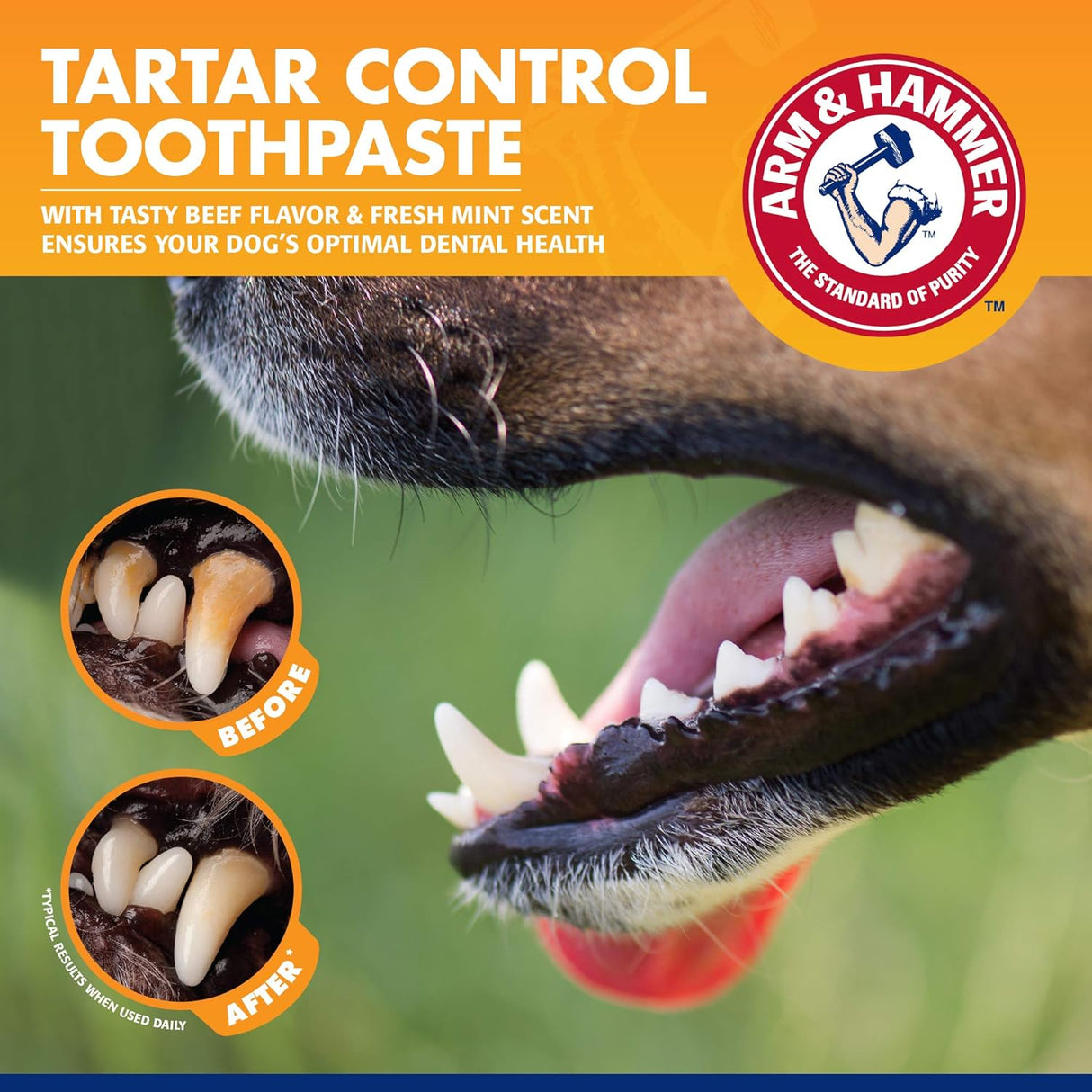 Kit de Control de Sarro para Perros Arm & Hammer, 3 piezas