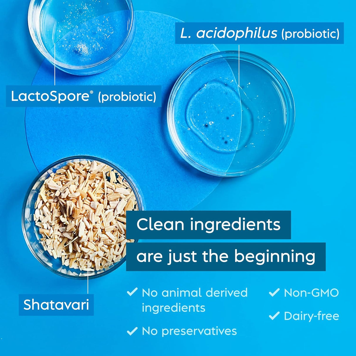 Vagisil Suplementos probióticos promueve la salud vaginal