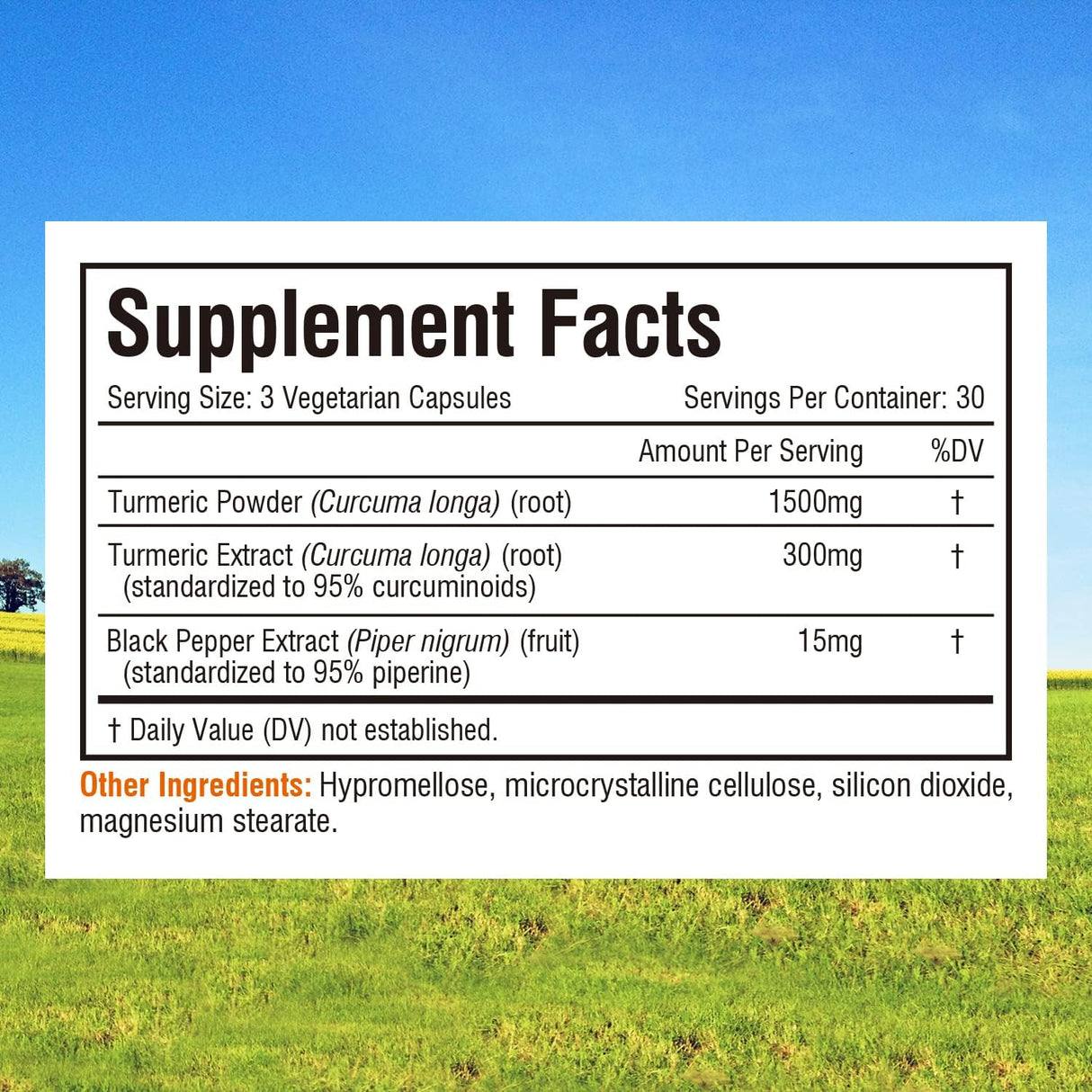 Suplemento de Curcumina de Cúrcuma, 95% Curcuminoides 90 Cáp