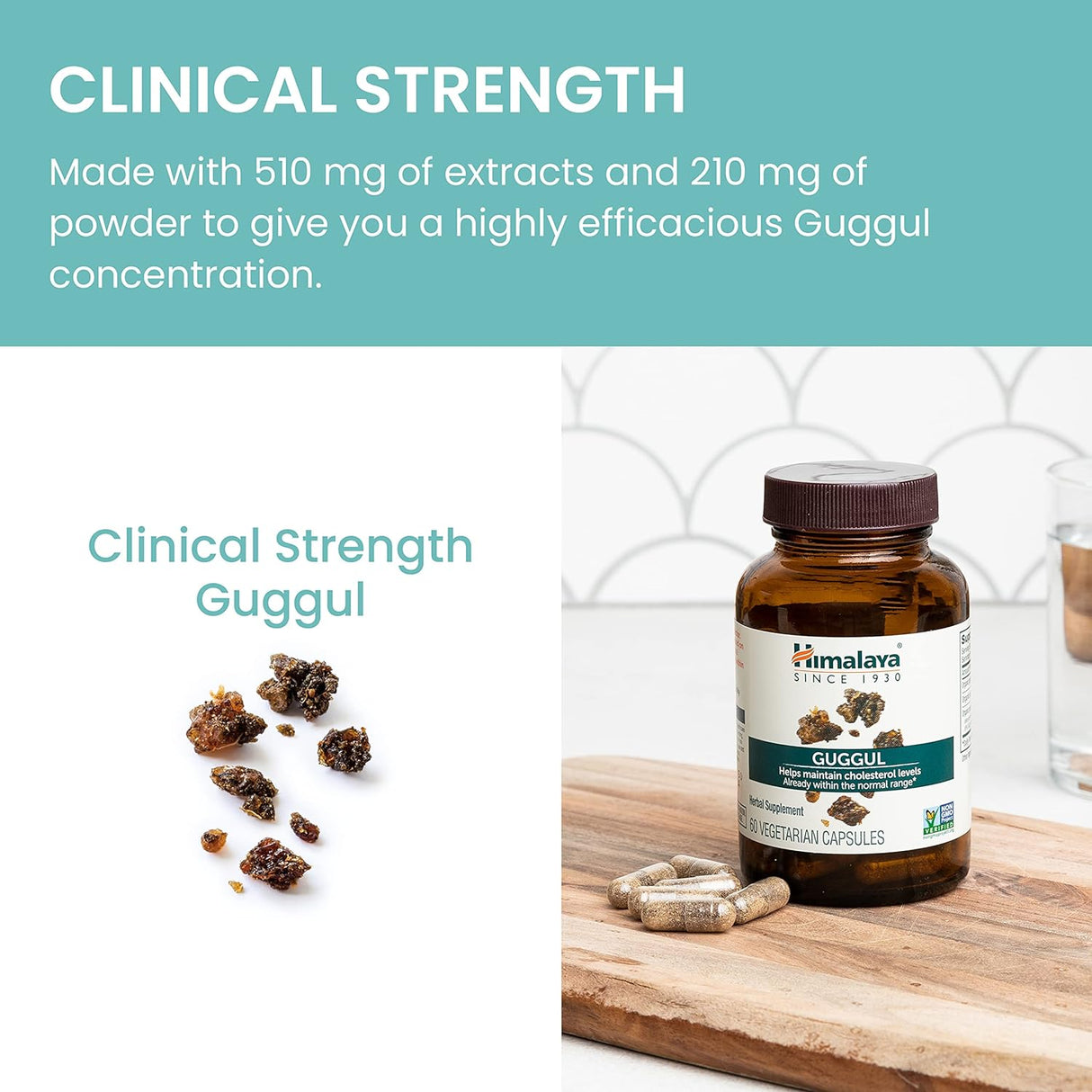 Suplemento de colesterol Guggul, 750 mg, 60 cápsulas