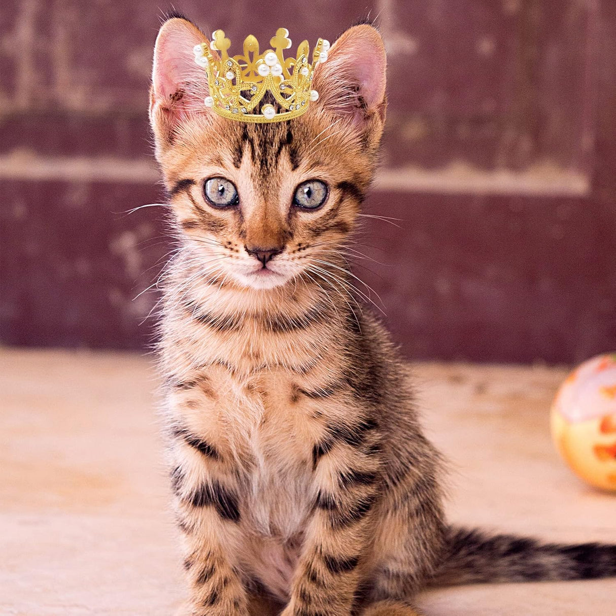 Disfraces 2 piezas de corona para perros pequeños talla S