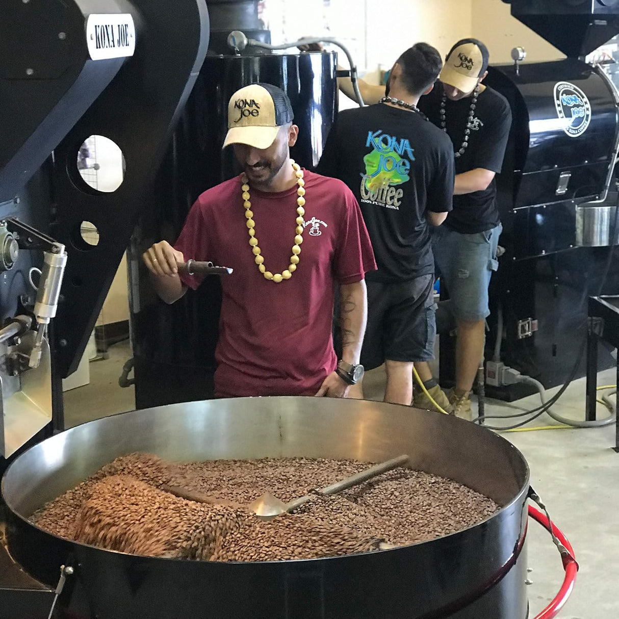 Café Gourmet Kona Joe Decaf, Tueste Medio, Granos 8 oz