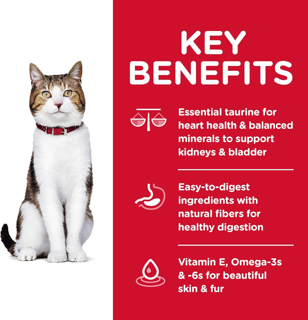 Alimento seco para gatos receta de pollo bolsa de 4 libras