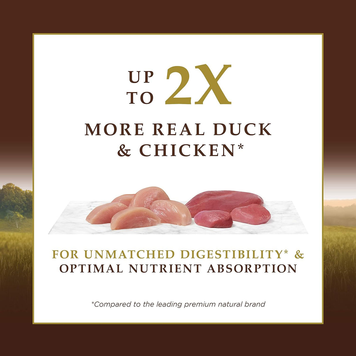 Instinct Ultimate Protein Free Cage Free Duck Recipe Alimento seco natural para gatos, bolsa de 4 libras