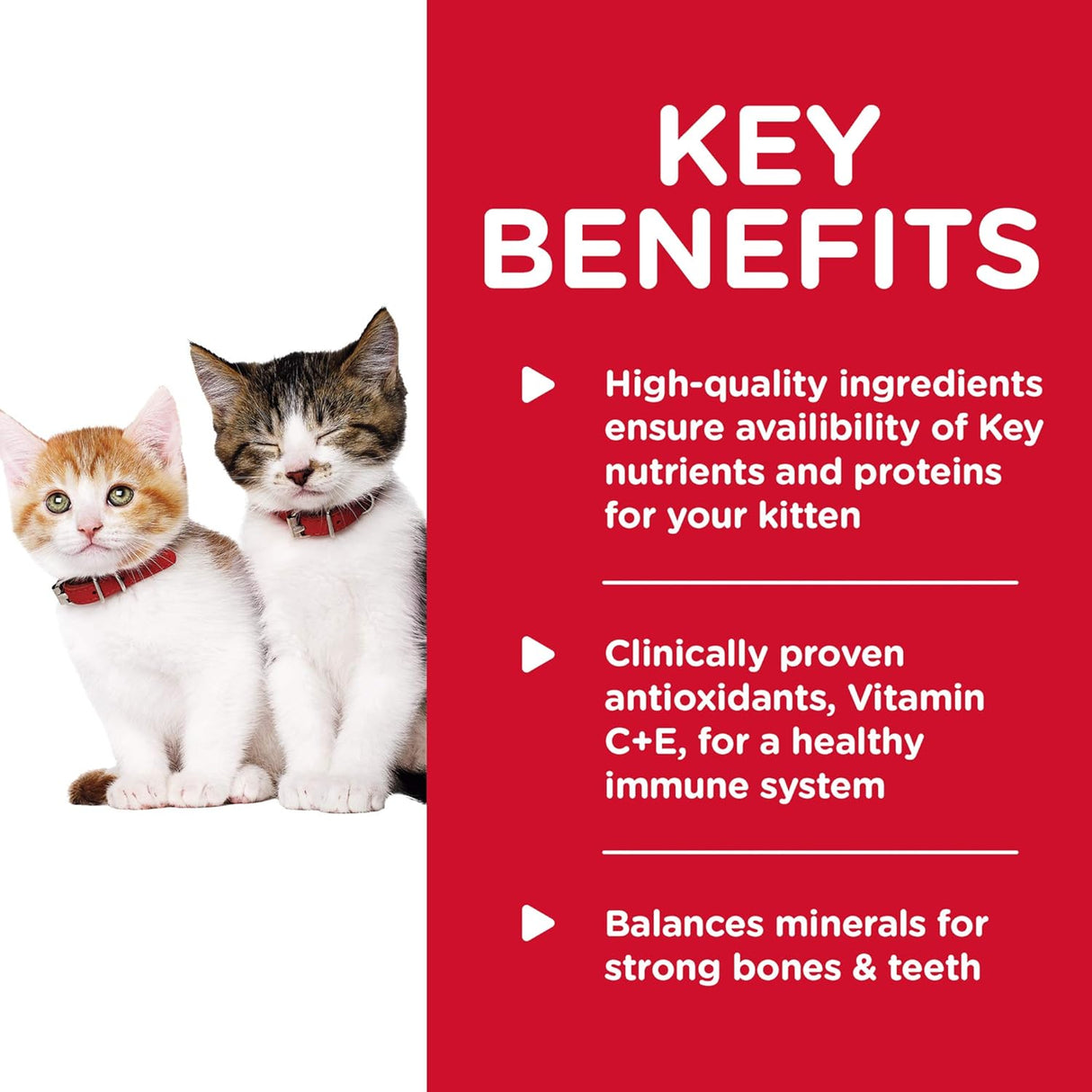 Paquete de variedad de alimentos enlatados para gatos