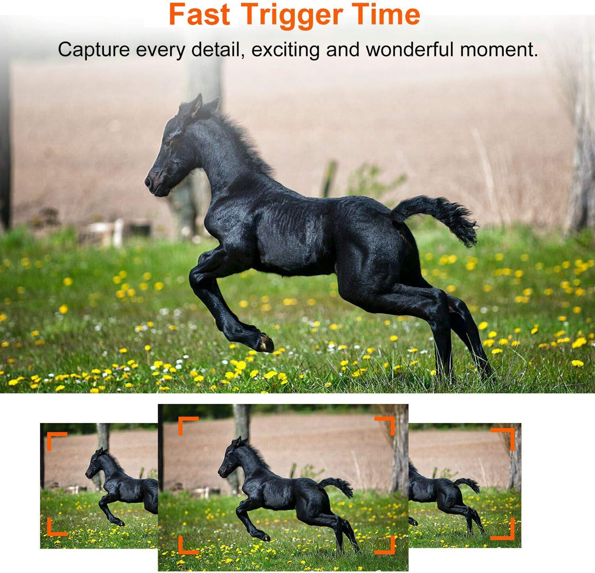 Cámara de Caza Trail&Game 32MP, 1296P, Visión Nocturna