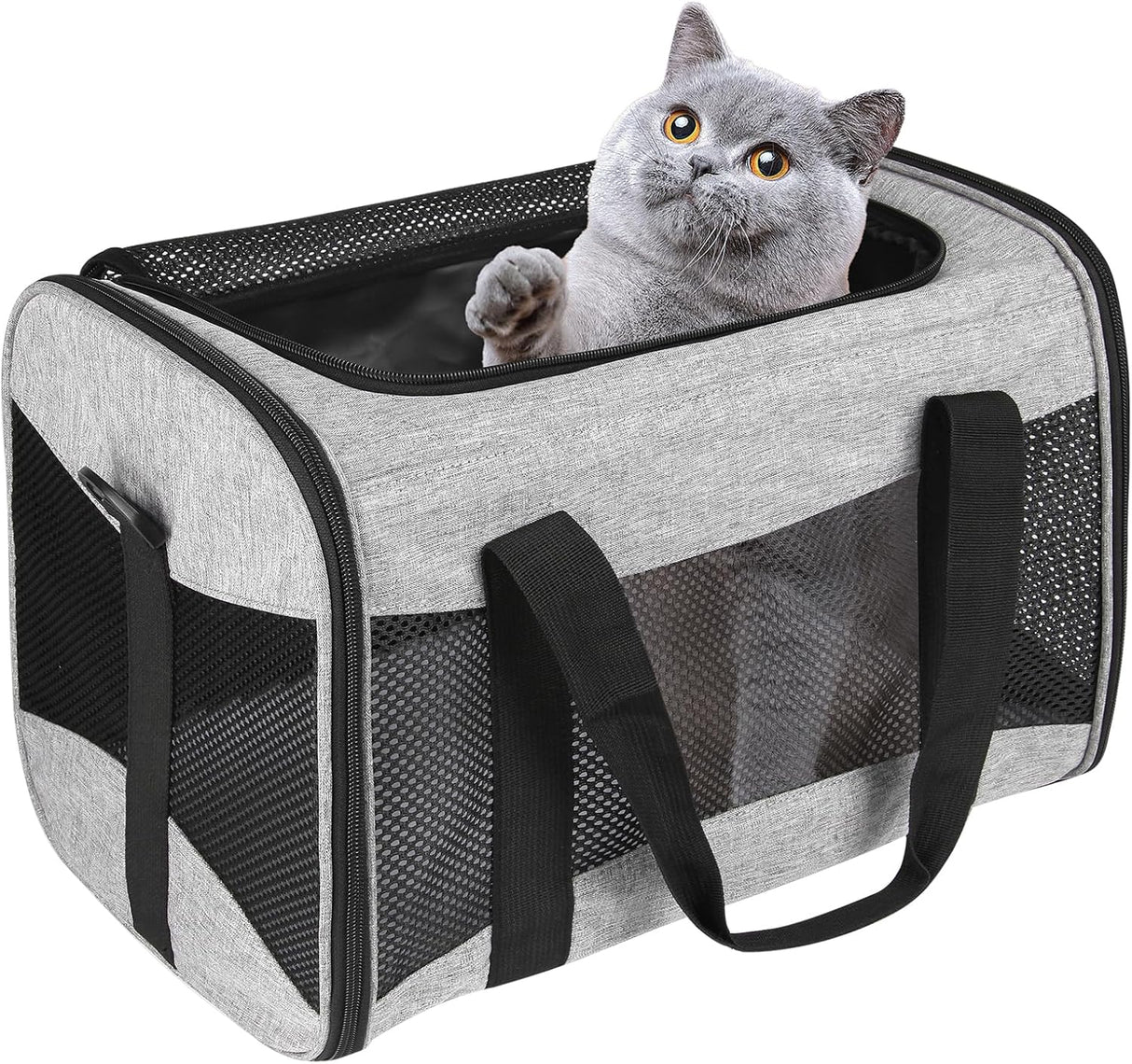 Transportín para Gatos - Aprobado por Aerolíneas, Móvil, M