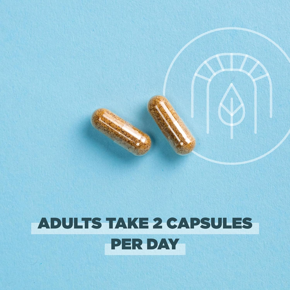 Cápsulas SuperVeggies Orgánicas Regenerativas con Probióticos