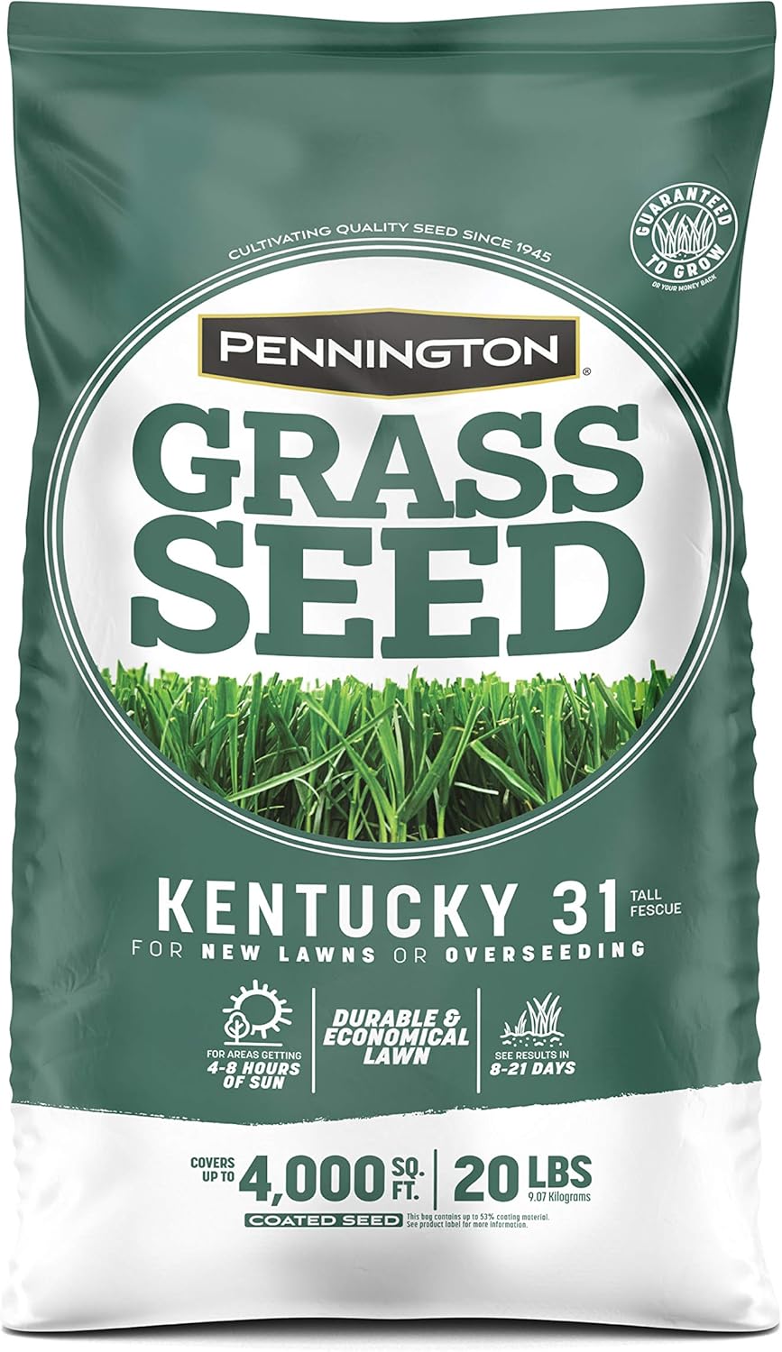 Semilla de Césped Tall Fescue Pennington 31, 20 lb, Resistente