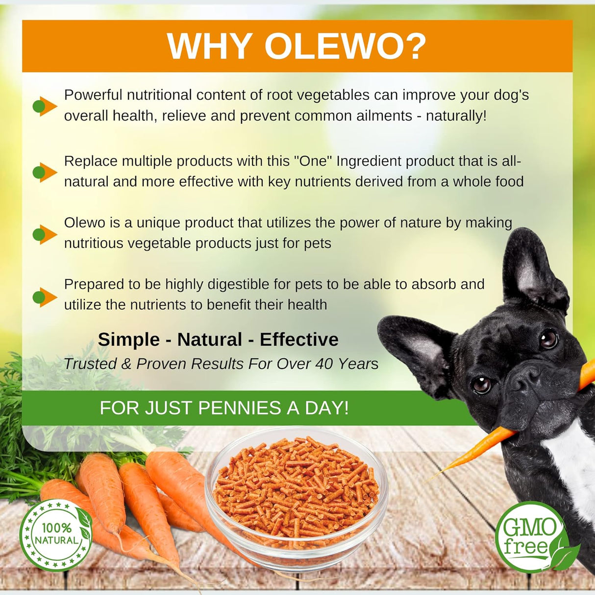 Vitaminas para perros Decoración de comida para perros