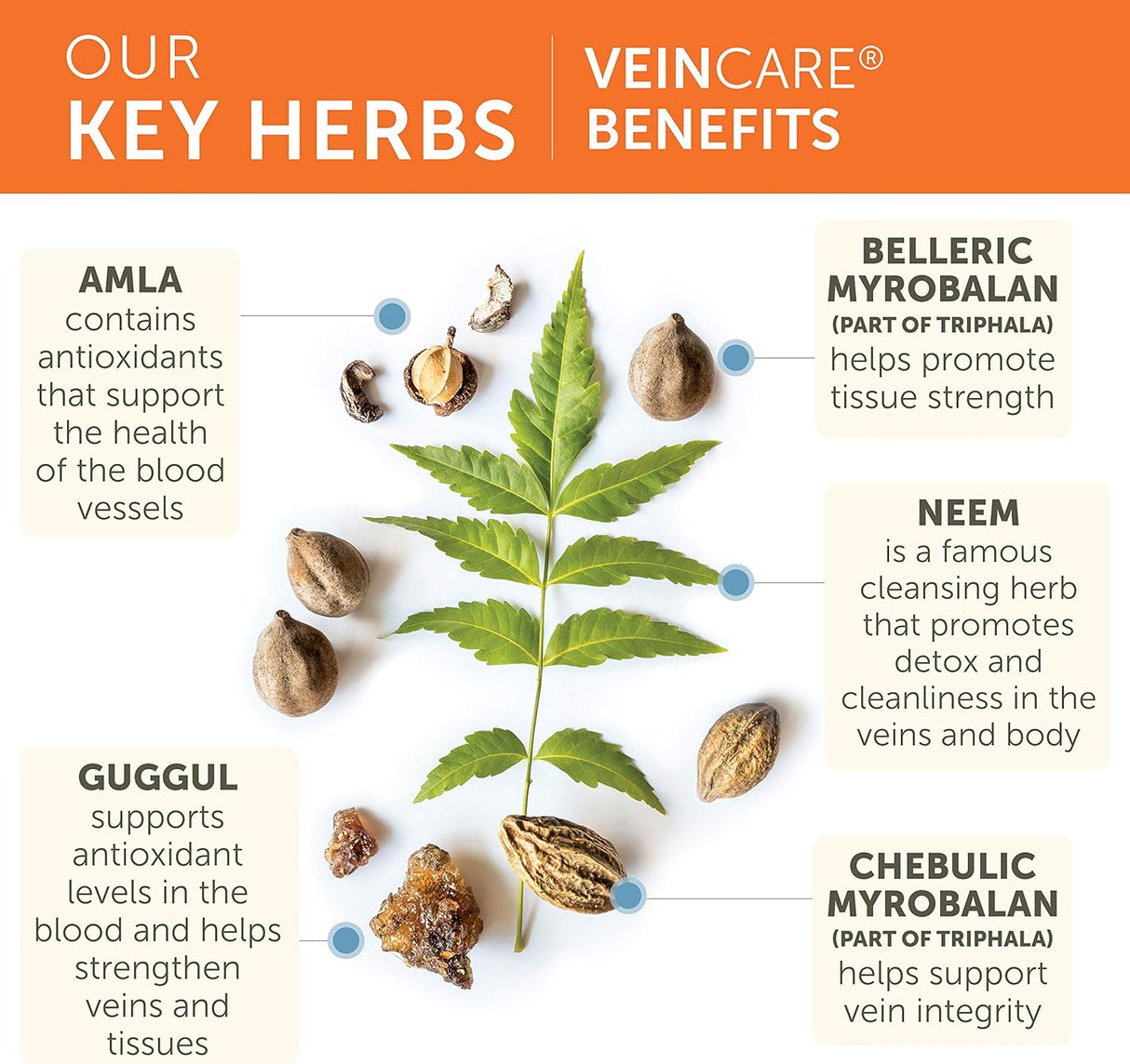 Suplementos Himalaya para paredes venosas saludables 60 cáp